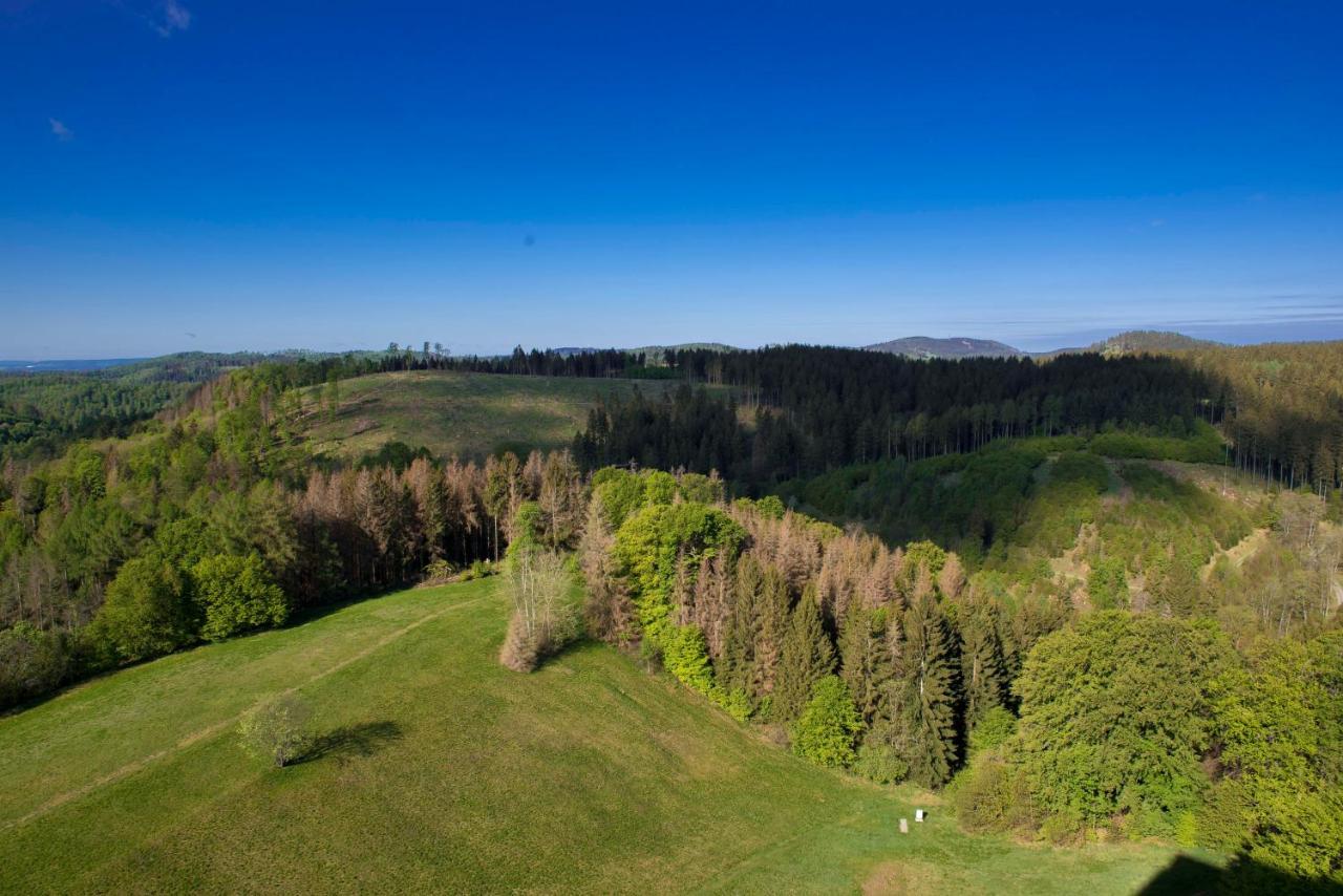 Ferienwohnung Panoramic Hohegeiß App 646 mit WLan Braunlage Exterior foto