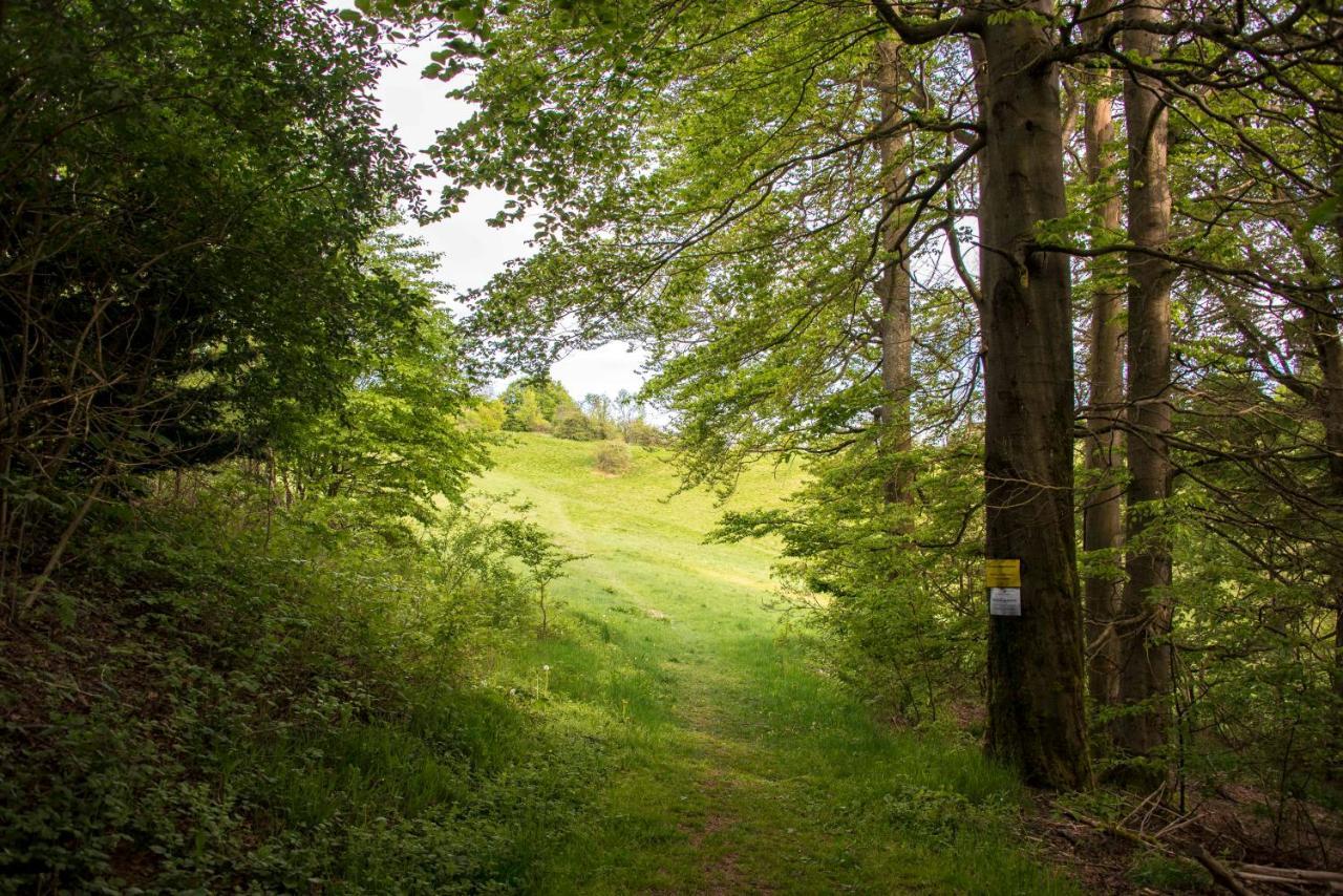 Ferienwohnung Panoramic Hohegeiß App 646 mit WLan Braunlage Exterior foto